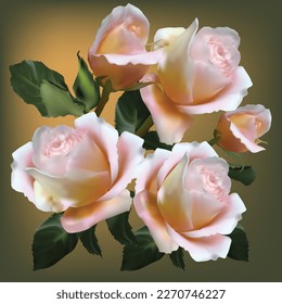 illustration with cream five roses on light background