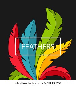 Illustration Creative Background with Colorful Feathers - Vector