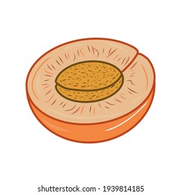 Illustration of creative colorful half of apricot icon. Idea for decors, logo, gifts, ornaments, celebrations, invitation, greeting, spring holidays, nature and fruit themes. Vegetarian. Isolated.