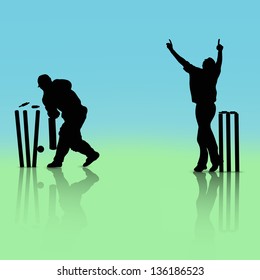 Cricket Bowler Images, Stock Photos & Vectors  Shutterstock