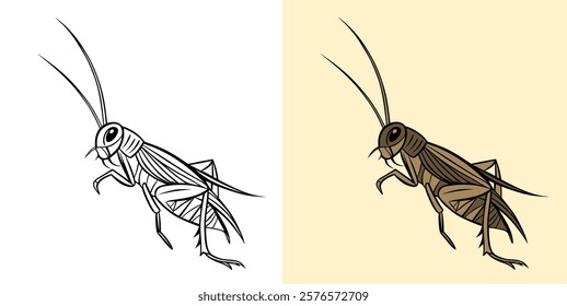 Illustration of a Cricket in Black and White and Colored Versions