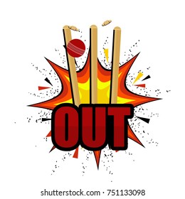 Illustration for Cricket Match