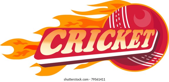 illustration of a cricket sports ball with fire and flames on isolated white  background done in retro style