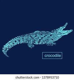 illustration of crocodile 