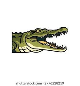 Illustration of a crocodile head with open jaws showing teeth crocodile alligator