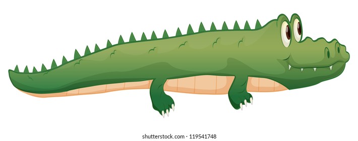 illustration of a crocodile on a white background
