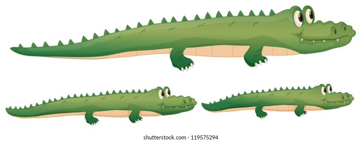 illustration of a crocodile on a white background