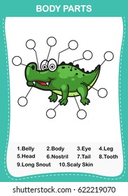 Illustration of crocodile  vocabulary part of body,Write the correct numbers of body parts.vector