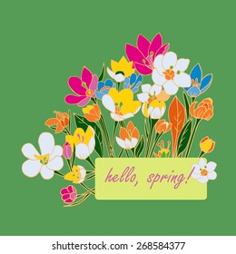 Illustration of crocuses