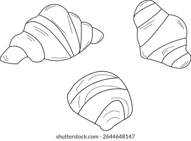 The Illustration of Croissant from 3 different view