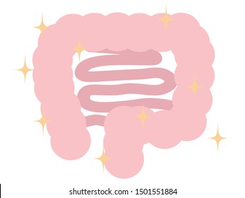 Illustration of cross section of intestine.