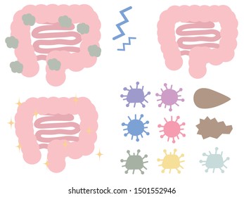 Illustration of cross section of intestine.