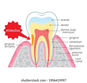 Teeth construction Images, Stock Photos & Vectors | Shutterstock