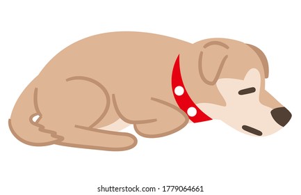 Illustration of a crouching dog on a white background