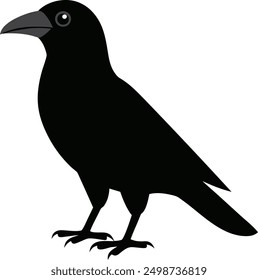 Illustration of a crow in black color isolated on a white background