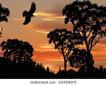 illustration with crow in black forest at sunset