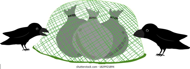 Illustration of a crow poking from the top of the garbage removal net