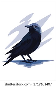 Illustration of crow raven and black bird for background and image isolated