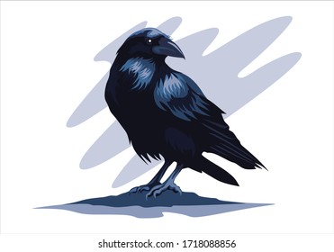 illustration of crow raven blackbird for background and image