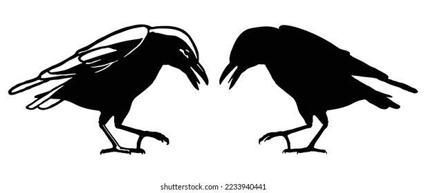 illustration of crow raven blackbird. crow sitting logo vector illustration