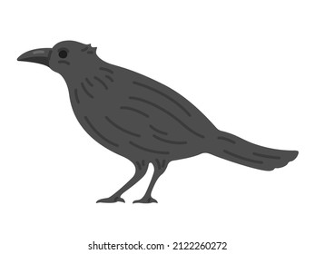 Illustration of a crow seen from the side.