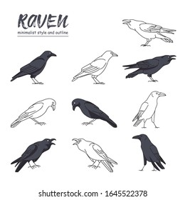 
illustration of a crow with a variety of movements with a minimalist style and outline. vector