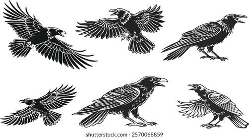 illustration, crow, vector, animal, black, art, bird, isolated, raven, nature, cartoon, wildlife, drawing, design, icon, gothic, wing, halloween, feather, dark, wild, silhouette, background, white 