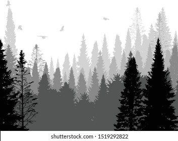 illustration with crows above grey forest isolated on white background