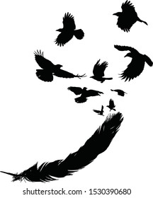 illustration with crows flying from feather silhouette isolated on white background