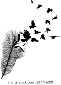 Illustration With Crows Flying From Feather Silhouette Isolated On White Background