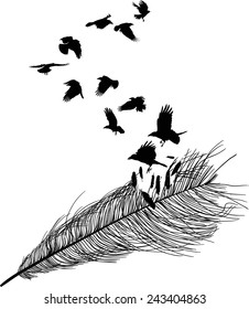 illustration with crows flying from feather silhouette isolated on white background