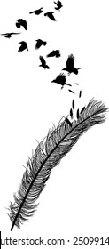ilustración con cuervos volando de la silueta de plumas aislados en fondo blanco