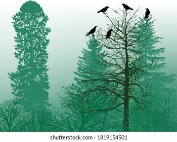 Crow Forest Images Stock Photos Vectors Shutterstock Crow Forest Images Stock Photos Vectors Shutterstock