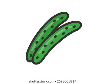 Illustration of cucumber icon (line drawing color).