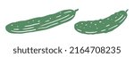 Illustration of cucumber isolated on white