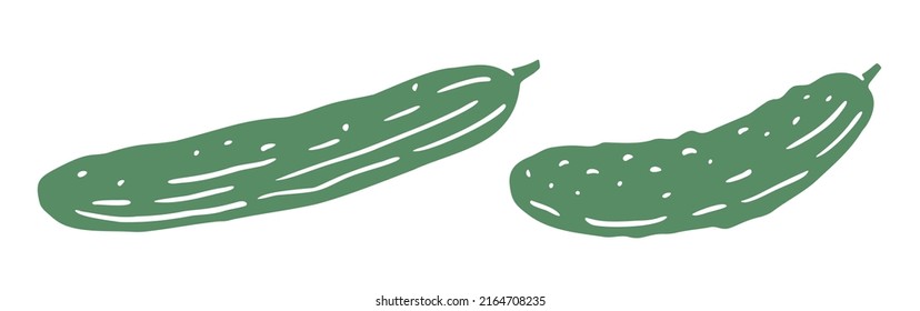 Illustration of cucumber isolated on white