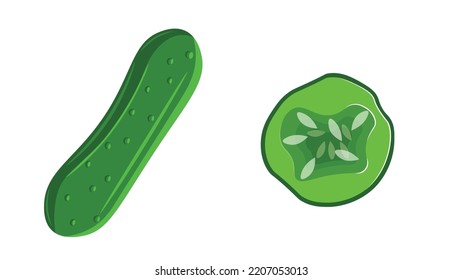 illustration of cucumber isolated on white background in vector format