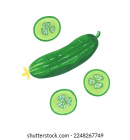 Ilustración de pepino con rodajas en un estilo acuático dibujado a mano aislado sobre fondo blanco. Elemento de diseño de vectores.