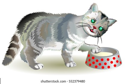 Illustration of curious  gray kitten looking for food in a bowl, vector cartoon image.