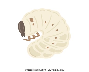 Illustration of a curled up beetle larvae.