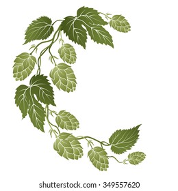 illustration of curved branches with cones of hops