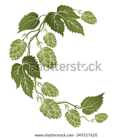 illustration of curved branches with cones of hops