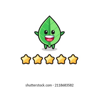 the illustration of customer best rating, leaf cute character with 5 stars , cute style design for t shirt, sticker, logo element
