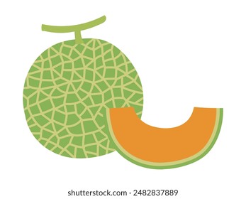 Illustration of cut melon and melon with vine