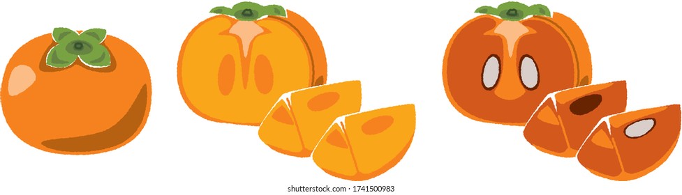 Illustration of cut persimmon that looks delicious
