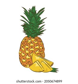 Illustration of a cut pineapple painting. vector