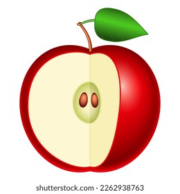 Illustration of cut ripe red apple fruit. No gradient mesh