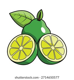 The Illustration of Cutaway Lime Fruit All Fresh