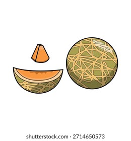 A Ilustração de Fruta de Melão de Corte Tudo Fresco
