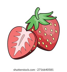 The Illustration of Cutaway Strawberry Fruit